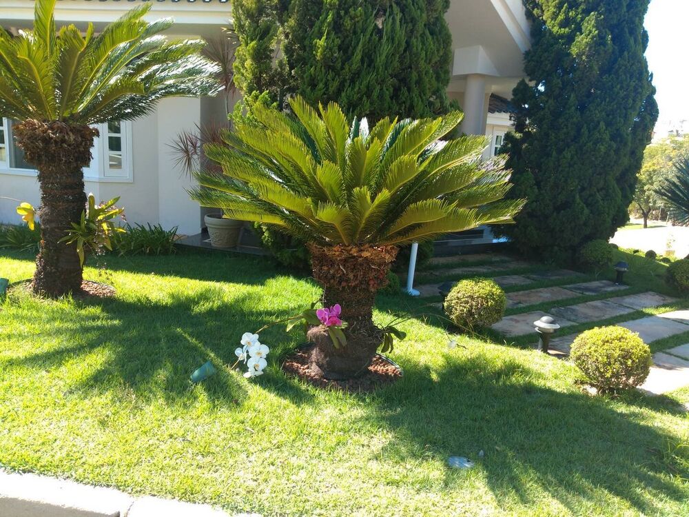 Casa para alugar com 4 quartos, 510m² - Foto 2