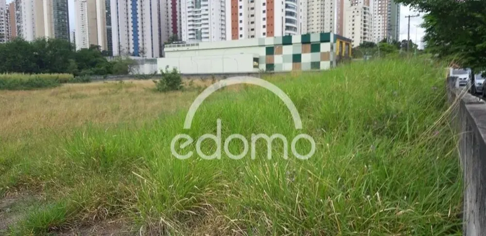 Terreno, 2 hectares - Foto 6