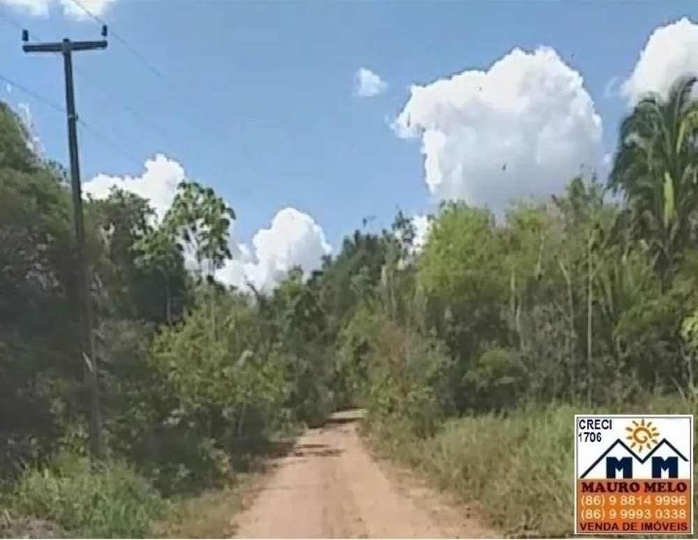 Fazenda, 250 hectares - Foto 7