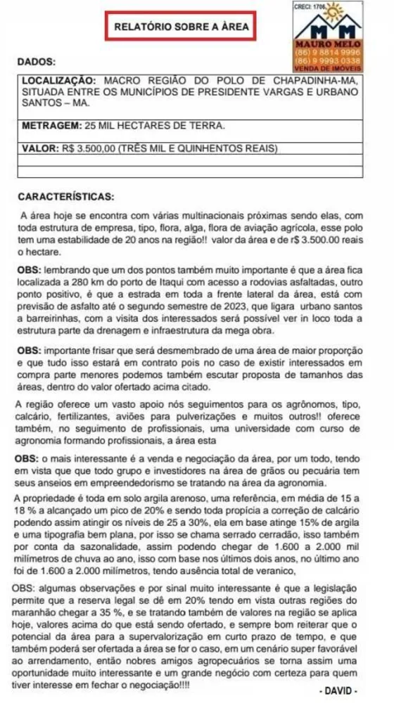 Fazenda, 250 hectares - Foto 5