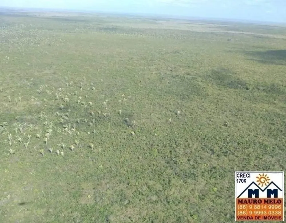 Fazenda, 250 hectares - Foto 8