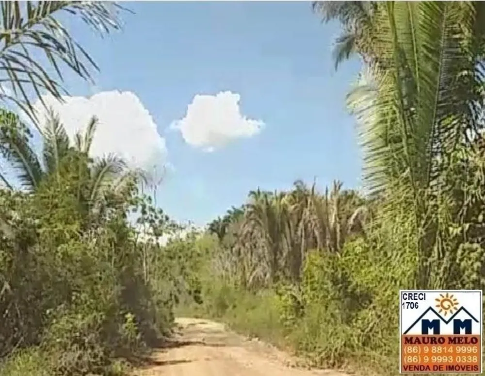 Fazenda, 250 hectares - Foto 6