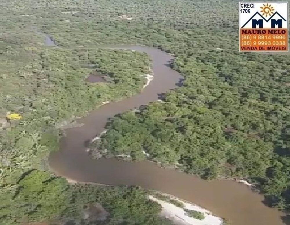 Fazenda-Sítio-Chácara, 250 hectares - Foto 2