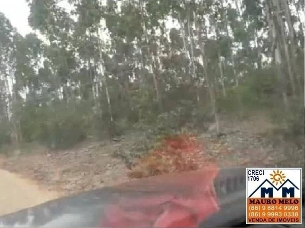 Fazenda-Sítio-Chácara, 55 hectares - Foto 6