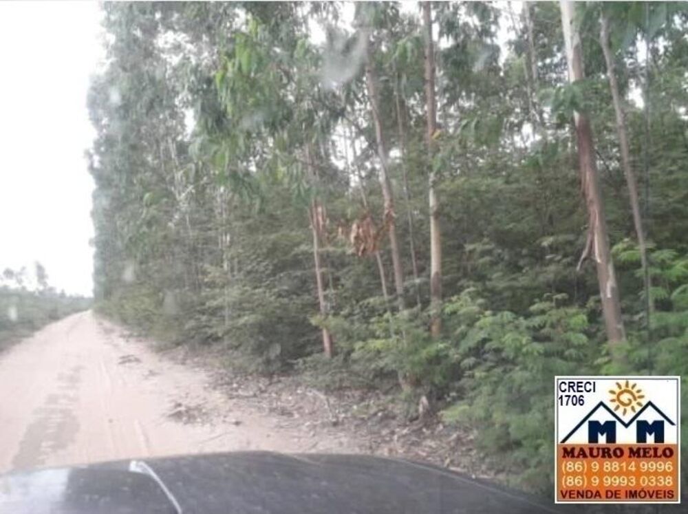 Fazenda-Sítio-Chácara, 55 hectares - Foto 5