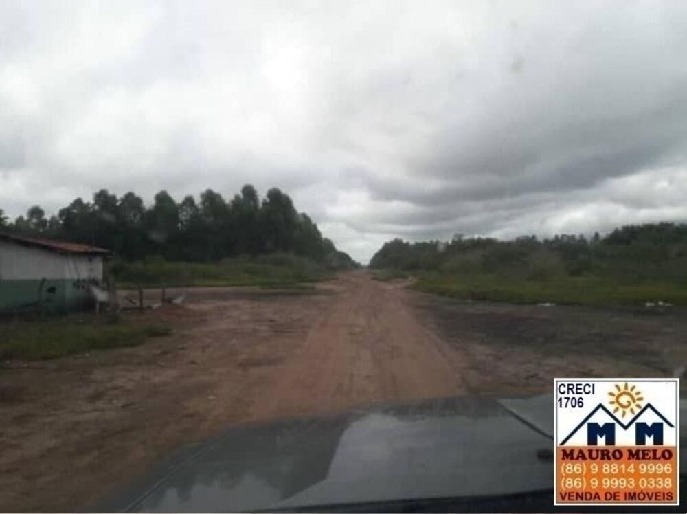 Fazenda-Sítio-Chácara, 55 hectares - Foto 3