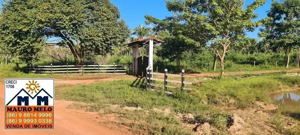 Fazenda, 1 hectares - Foto 4