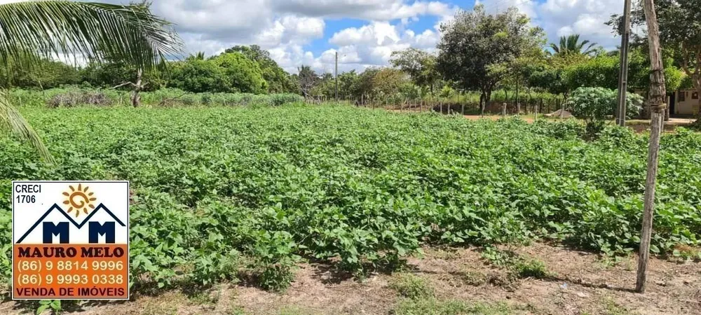 Fazenda, 1 hectares - Foto 6