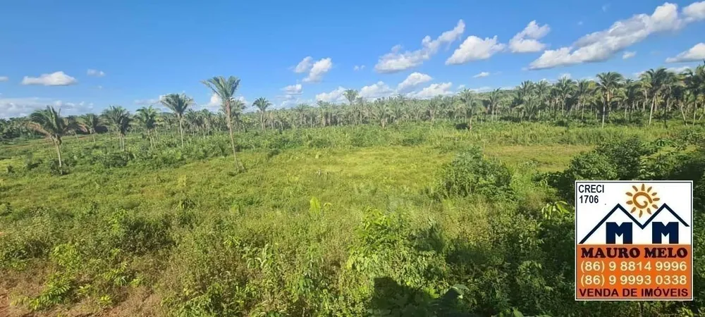 Fazenda, 1 hectares - Foto 5