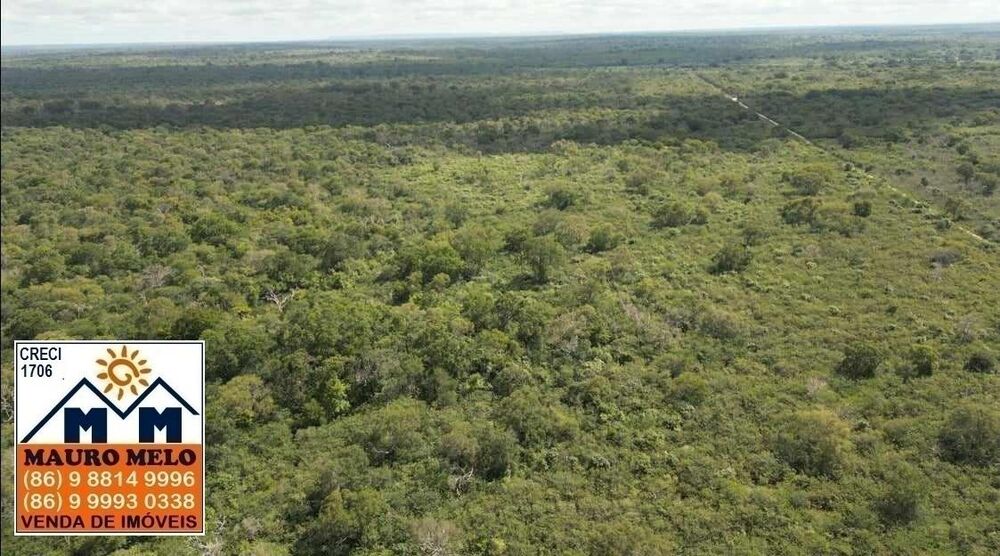 Fazenda à venda, 150000000m² - Foto 11
