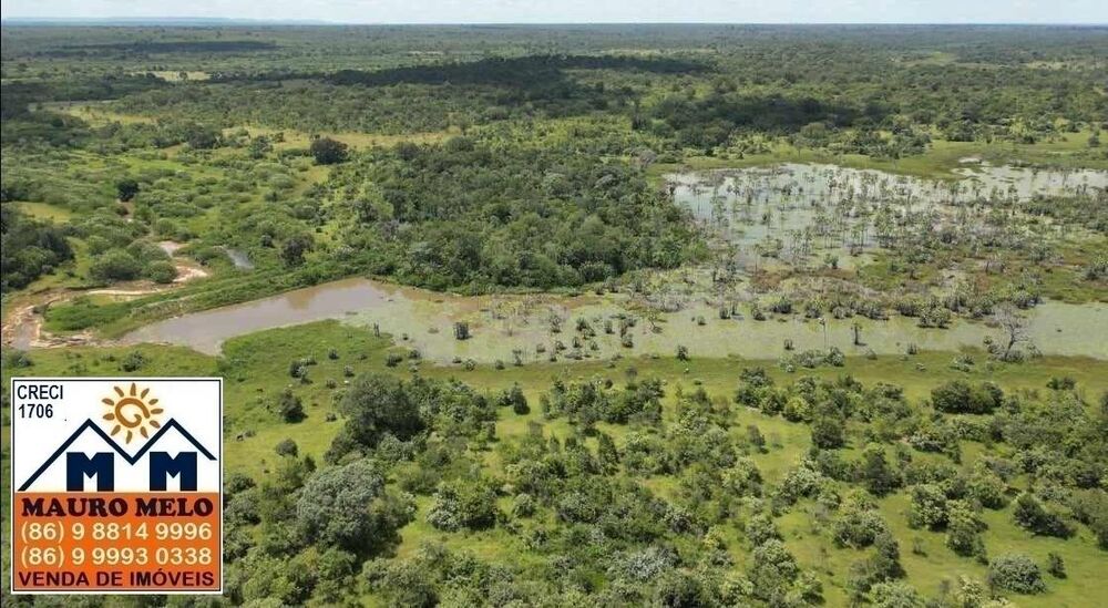 Fazenda à venda, 150000000m² - Foto 2
