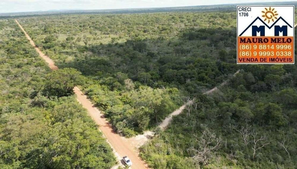 Fazenda à venda, 150000000m² - Foto 5