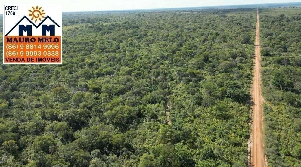 Fazenda à venda, 150000000m² - Foto 6