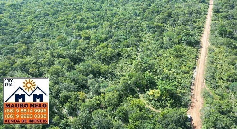 Fazenda à venda, 150000000m² - Foto 8