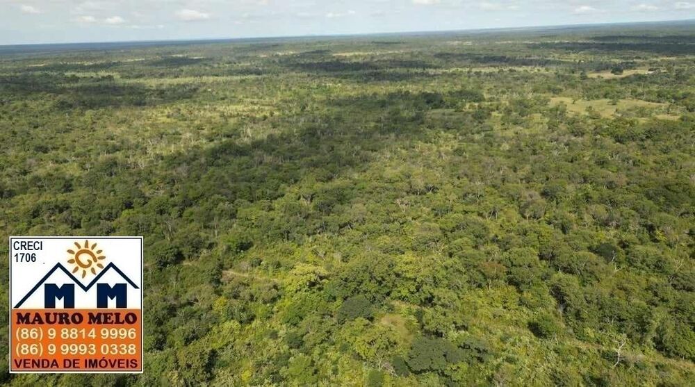Fazenda à venda, 150000000m² - Foto 10