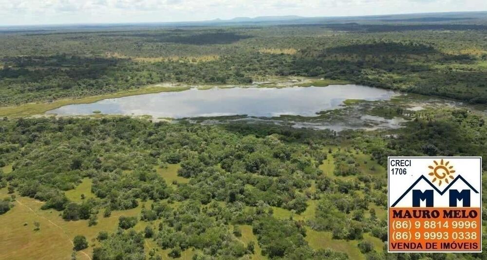 Fazenda à venda, 150000000m² - Foto 3