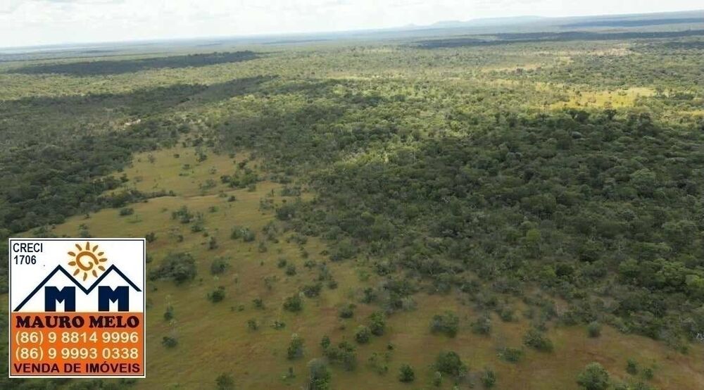 Fazenda à venda, 150000000m² - Foto 9