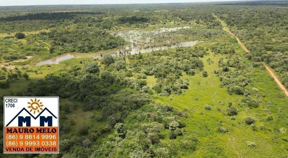 Fazenda à venda, 150000000m² - Foto 4