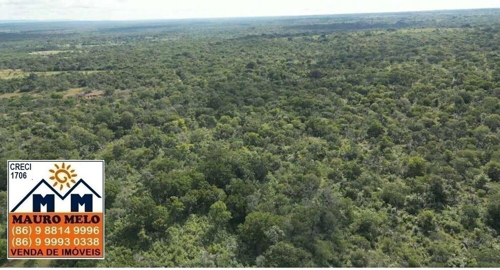 Fazenda à venda, 150000000m² - Foto 12