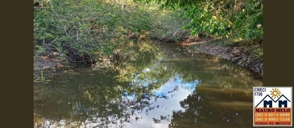 Fazenda, 9000 m² - Foto 2