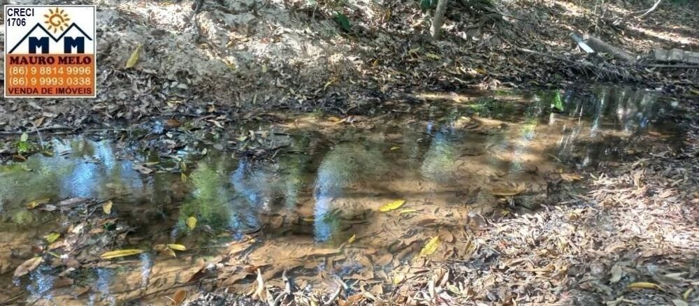 Fazenda, 9000 m² - Foto 3