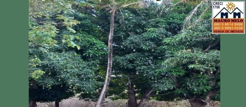 Fazenda, 9000 m² - Foto 7