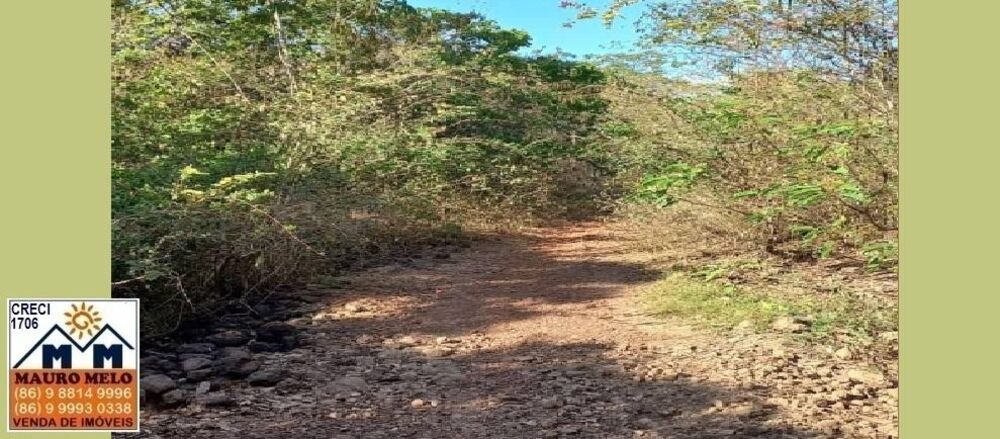 Fazenda, 9000 m² - Foto 5