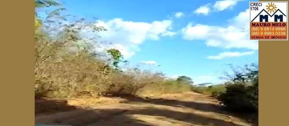 Fazenda, 9000 m² - Foto 6