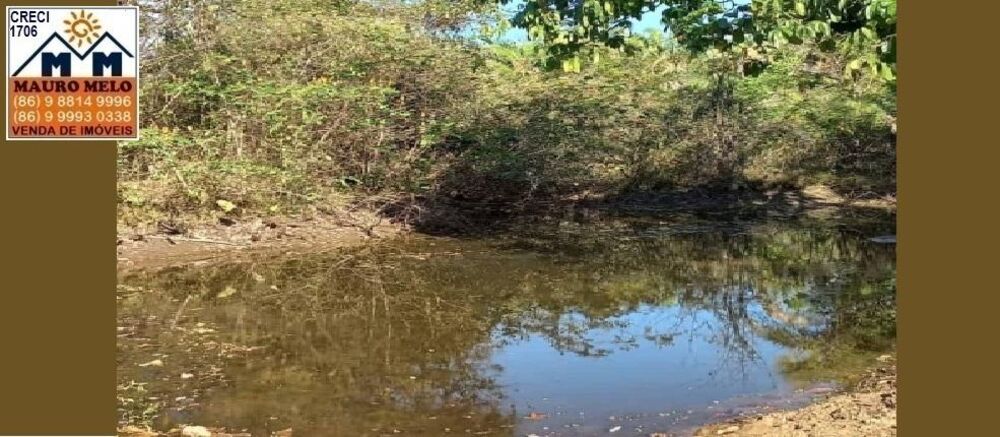 Fazenda, 9000 m² - Foto 4