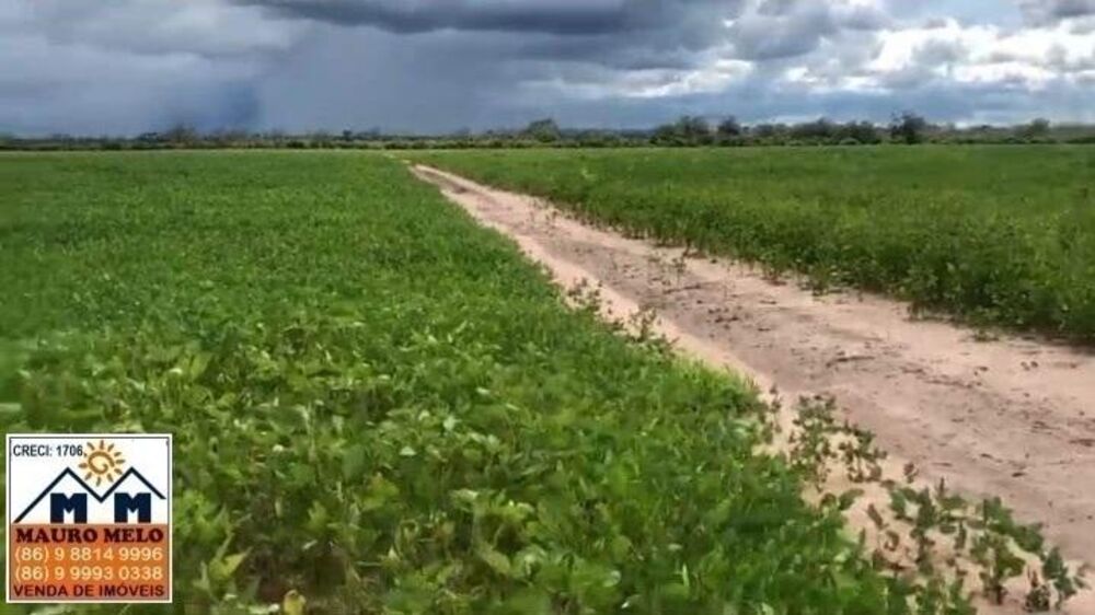 Fazenda, 110 hectares - Foto 12