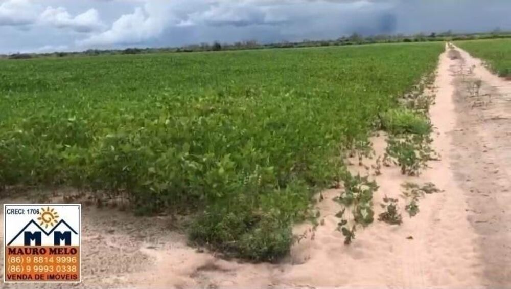 Fazenda, 110 hectares - Foto 14