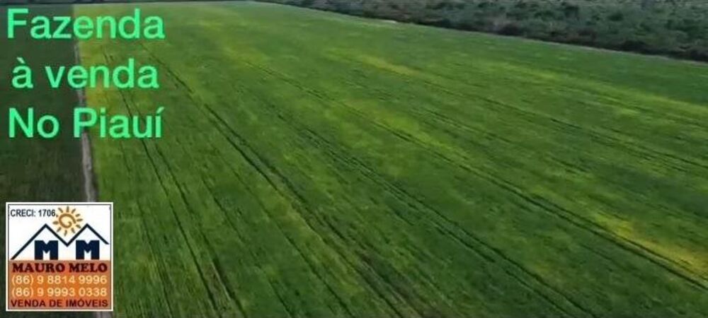 Fazenda, 110 hectares - Foto 6