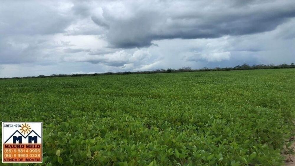 Fazenda, 110 hectares - Foto 10