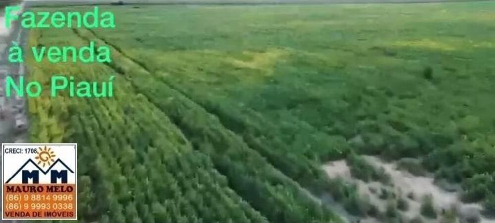 Fazenda, 110 hectares - Foto 4