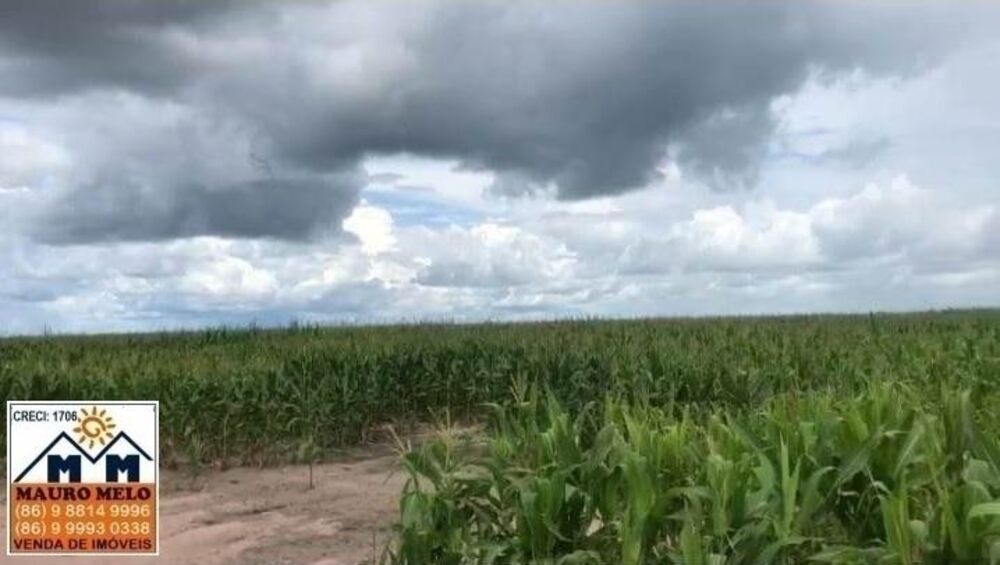 Fazenda, 110 hectares - Foto 11