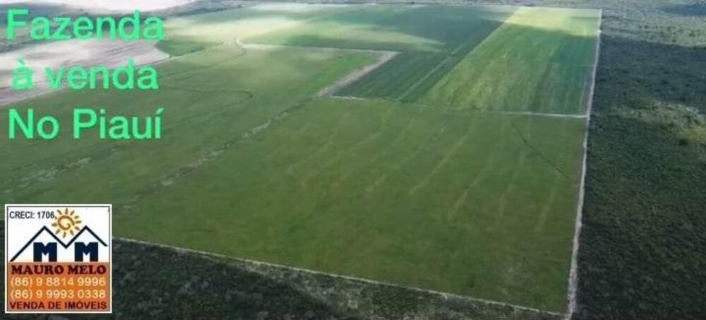 Fazenda, 110 hectares - Foto 3