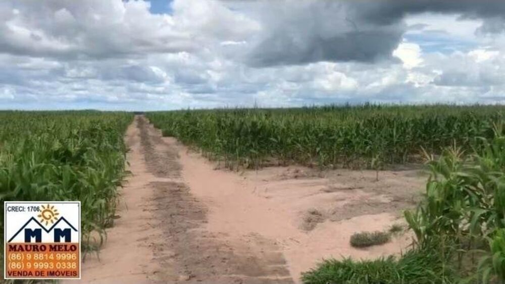 Fazenda, 110 hectares - Foto 13