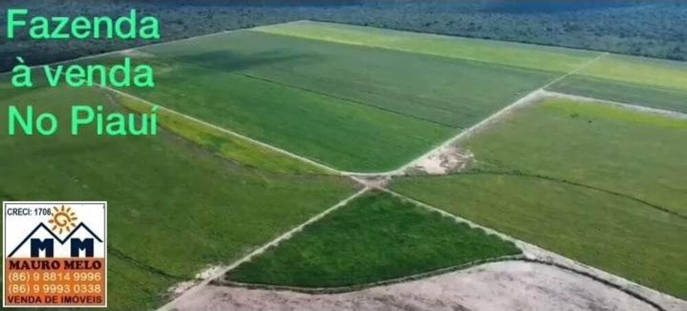 Fazenda, 110 hectares - Foto 1