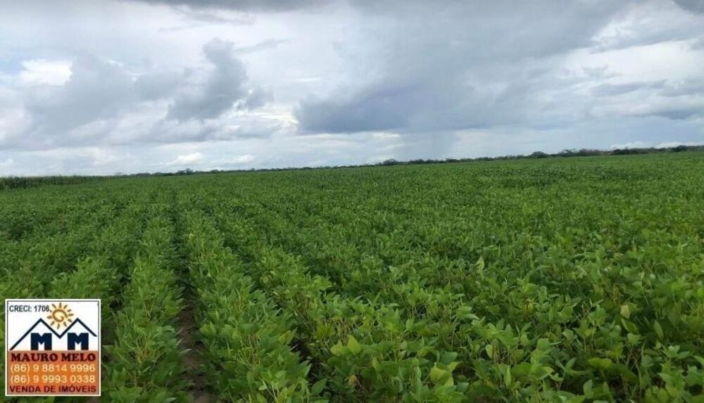 Fazenda, 110 hectares - Foto 9