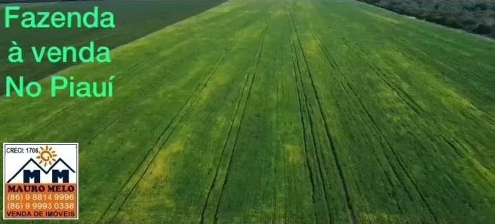 Fazenda, 110 hectares - Foto 8