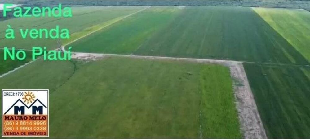 Fazenda, 110 hectares - Foto 2