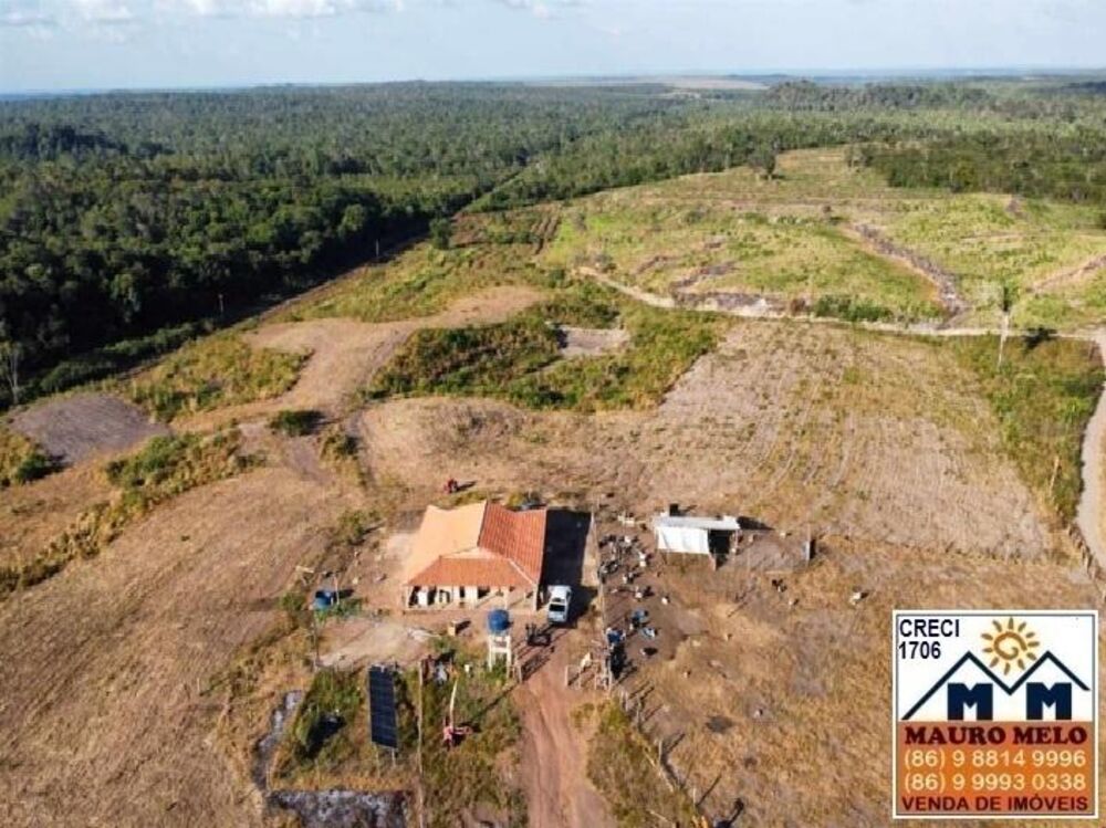Fazenda, 164 hectares - Foto 3