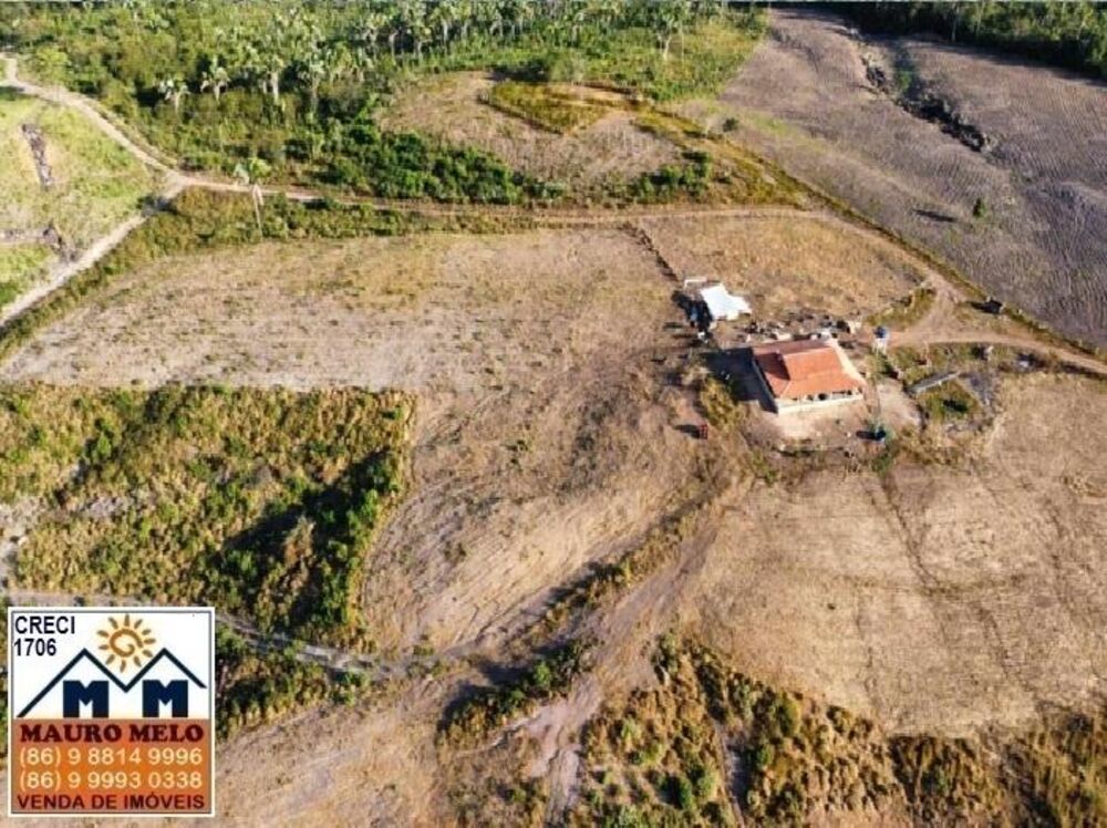 Fazenda, 164 hectares - Foto 2