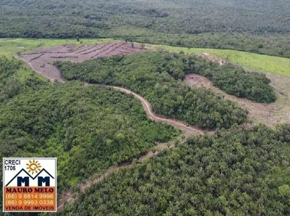 Fazenda, 164 hectares - Foto 4