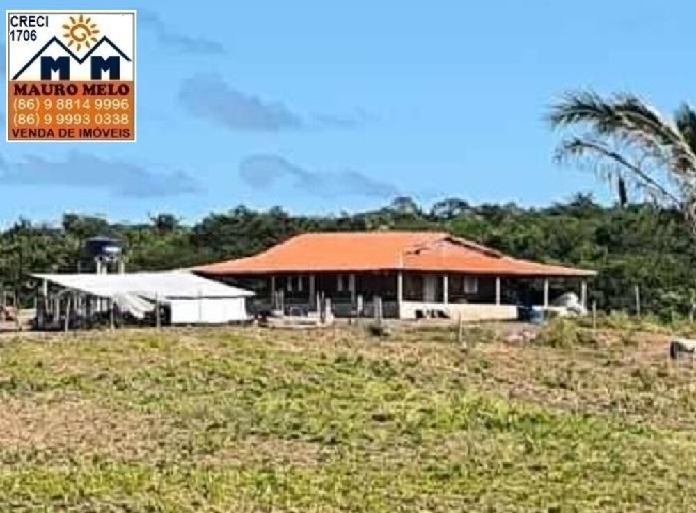 Fazenda, 164 hectares - Foto 1