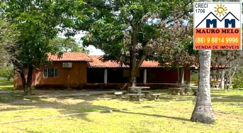 Sítio, 4 quartos, 5 hectares - Foto 4
