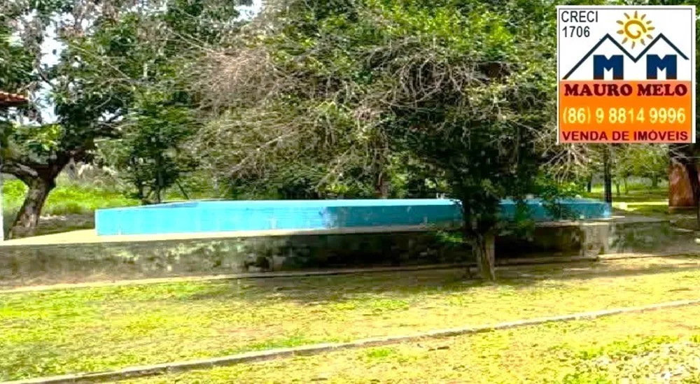 Sítio, 4 quartos, 5 hectares - Foto 3