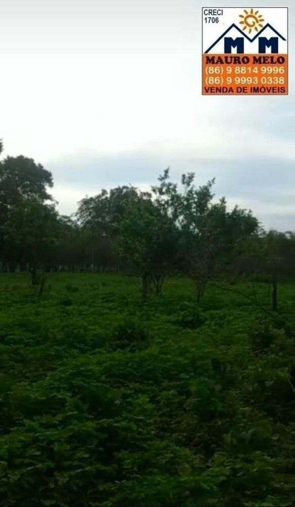 Fazenda, 42 hectares - Foto 1