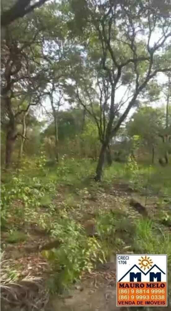 Fazenda, 42 hectares - Foto 3