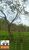 Fazenda-Sítio-Chácara, 42 hectares - Foto 2